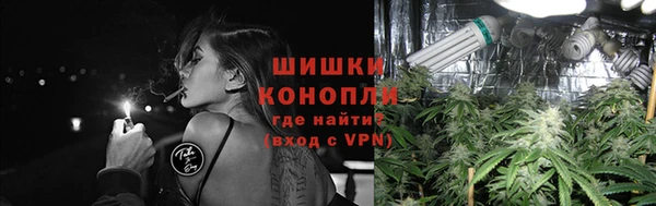 стаф Кодинск