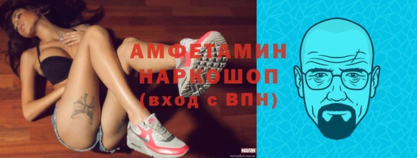 стаф Кодинск