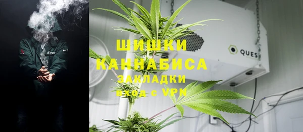 стаф Кодинск
