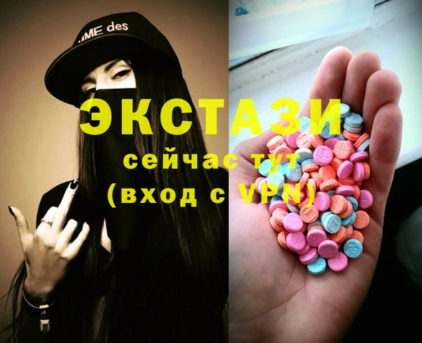 стаф Кодинск