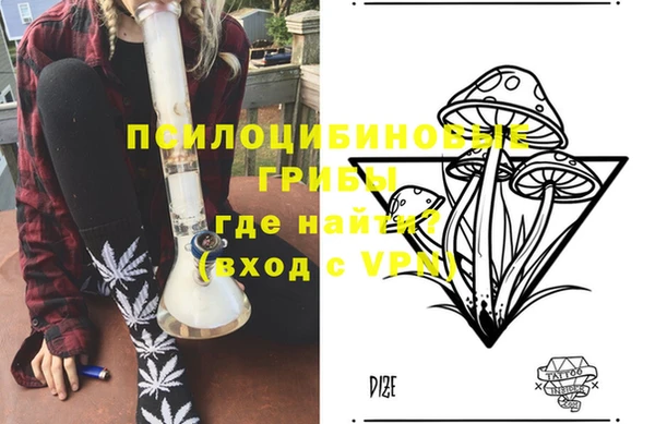 герыч Козельск