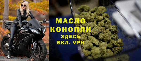 стаф Кодинск